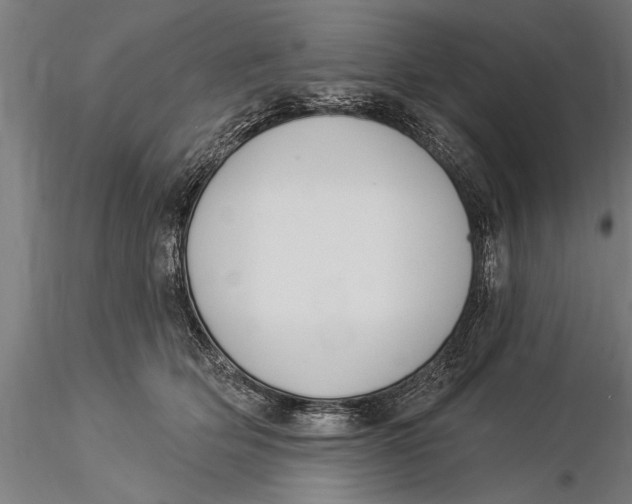 X0000116030514200912111419