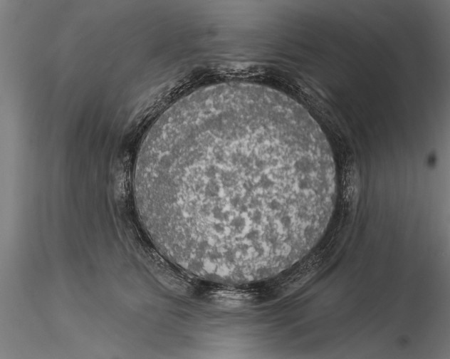 X0000116030515200912111419