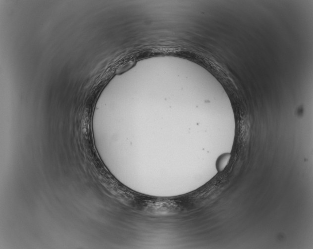 X0000116030517200912111419