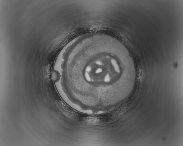 X0000116030519200912111419