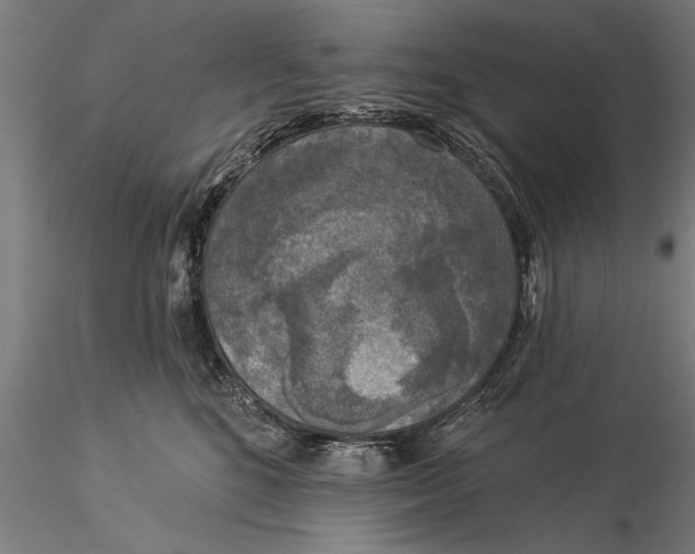 X0000116030520200912111419