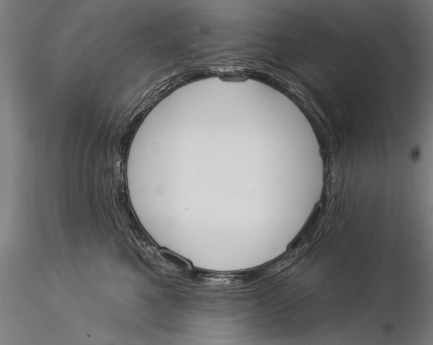 X0000116030521200912111419