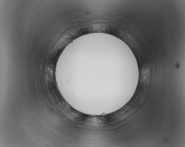 X0000116030522200912111419