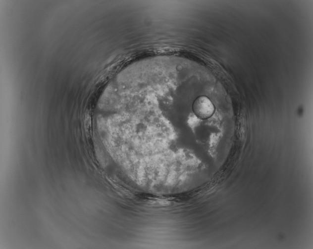 X0000116030523200912111419