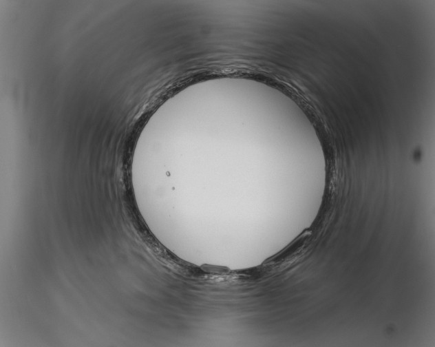 X0000116030524200912111419