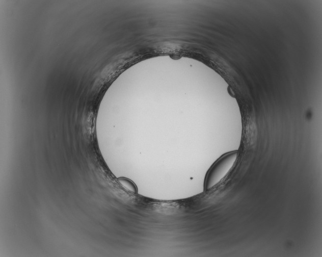 X0000116030525200912111419