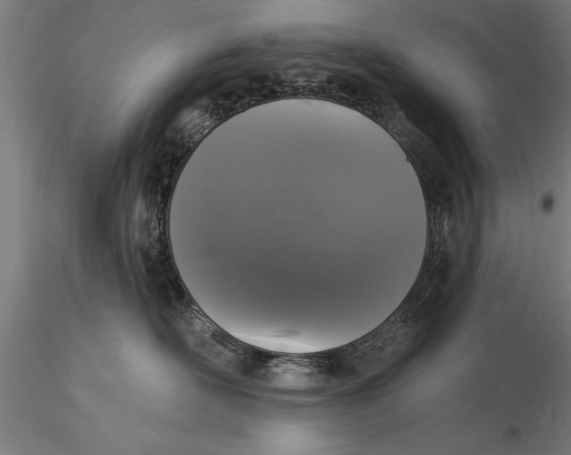 X0000116030526200912111419