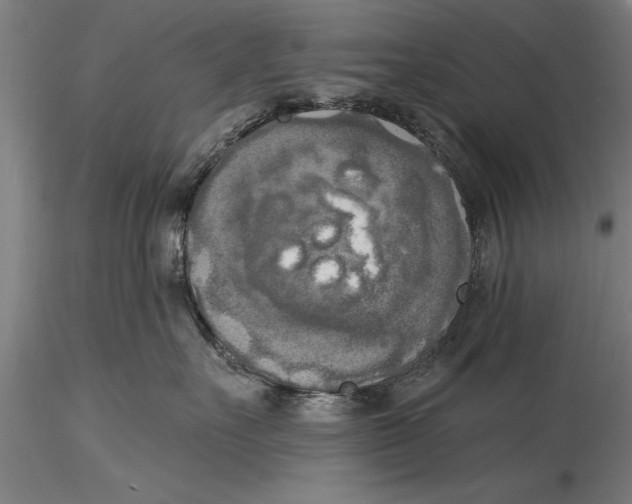 X0000116030527200912111419