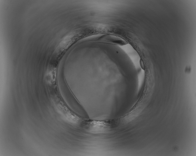 X0000116030528200912111419