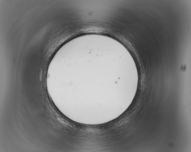 X0000116030529200912111418