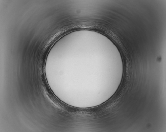 X0000116030530200912111418