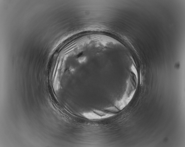 X0000116030531200912111418