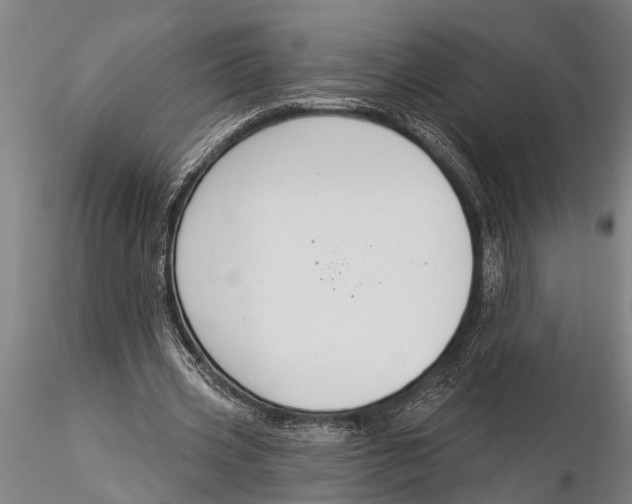 X0000116030533200912111418