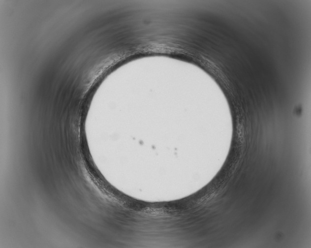 X0000116030534200912111418