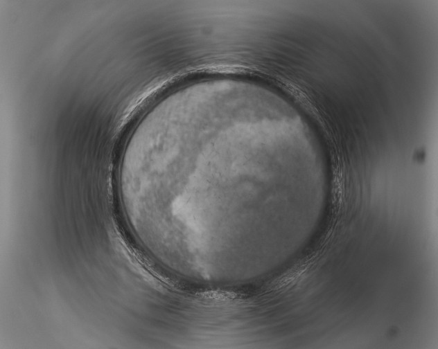 X0000116030535200912111418