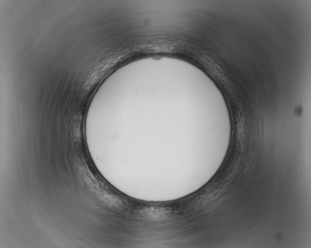 X0000116030537200912111418