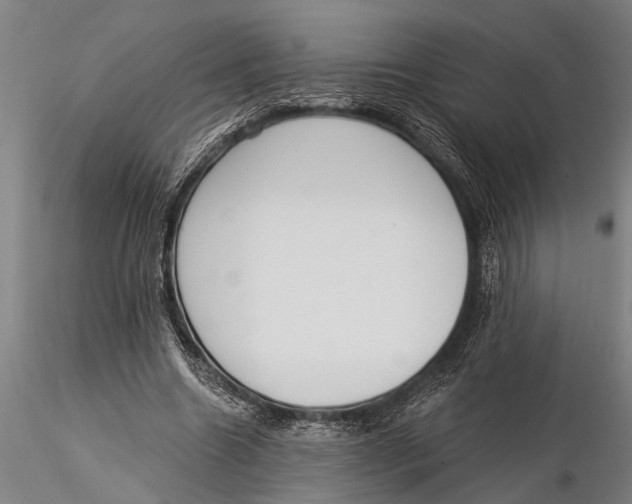 X0000116030538200912111418