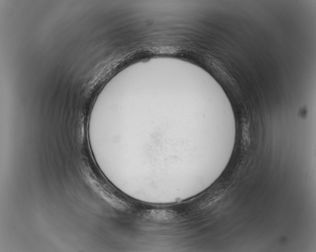 X0000116030541200912111418