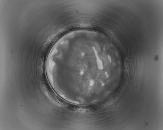 X0000116030542200912111418