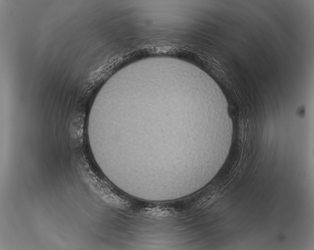 X0000116030545200912111418