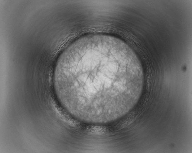 X0000116030546200912111418