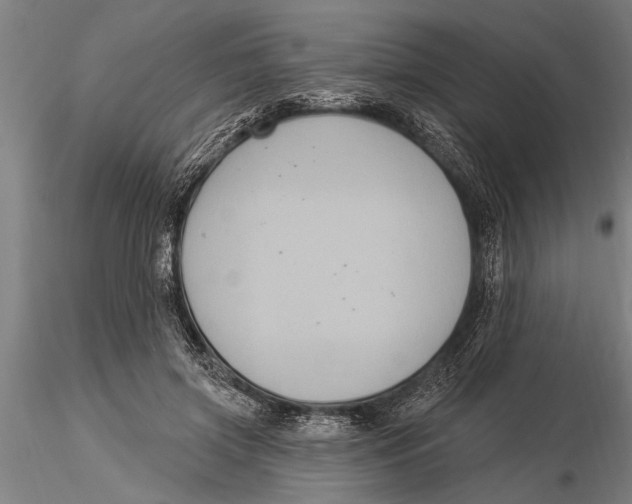 X0000116030549200912111418