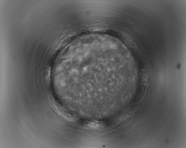 X0000116030550200912111418