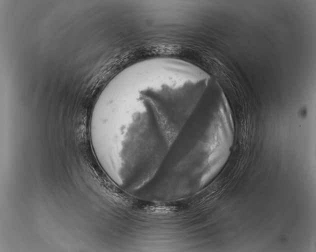 X0000116030553200912111418