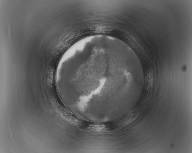 X0000116030554200912111418