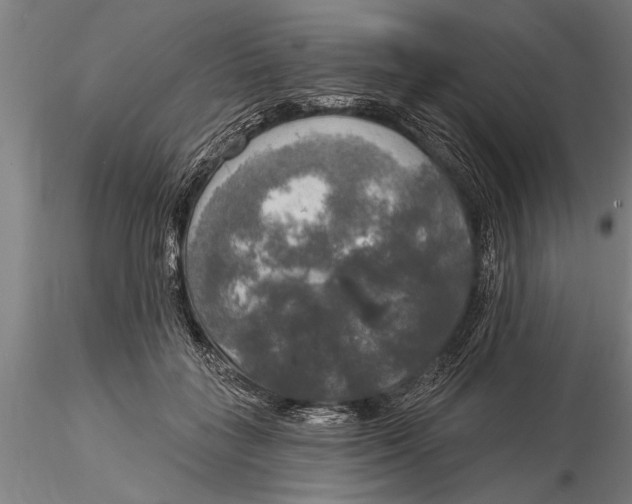 X0000116030555200912111418