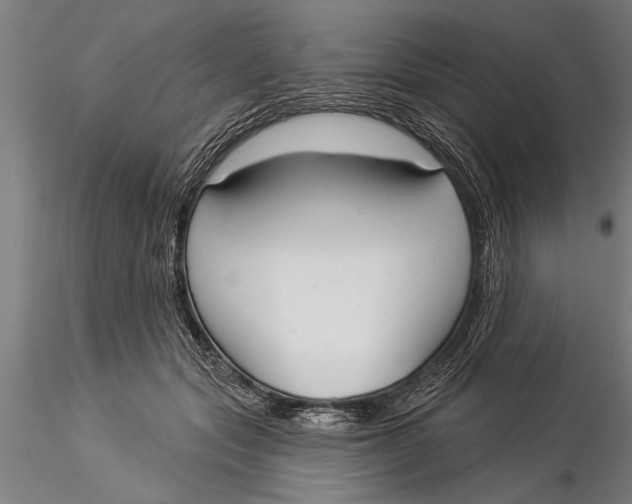 X0000116030557200912111418