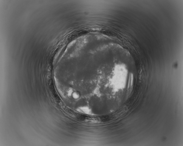 X0000116030559200912111419