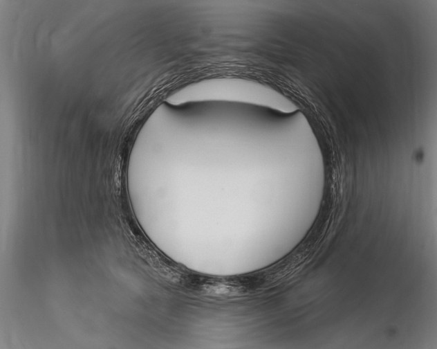 X0000116030561200912111419