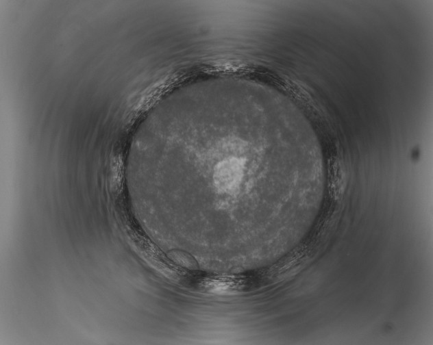 X0000116030563200912111419