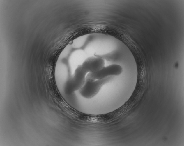 X0000116030565200912111419