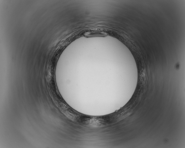 X0000116030566200912111419