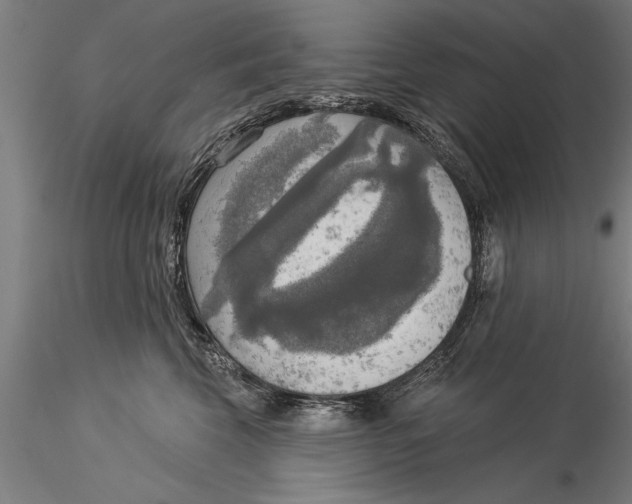 X0000116030569200912111419