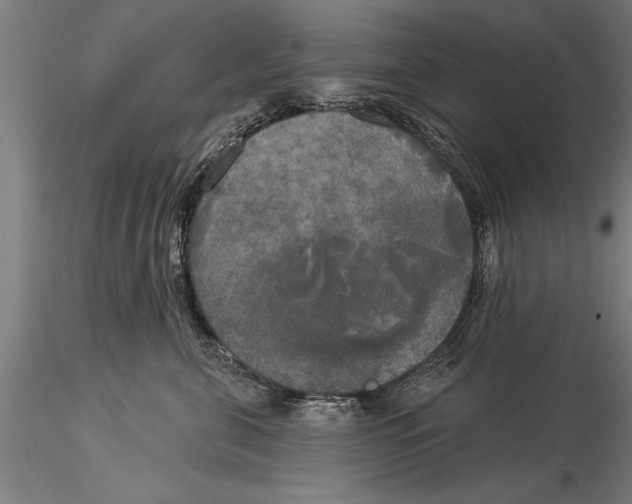 X0000116030571200912111419