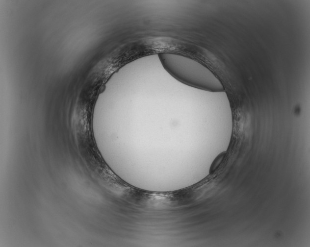 X0000116030573200912111419