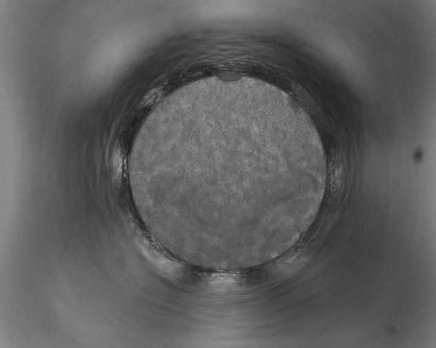 X0000116030574200912111419