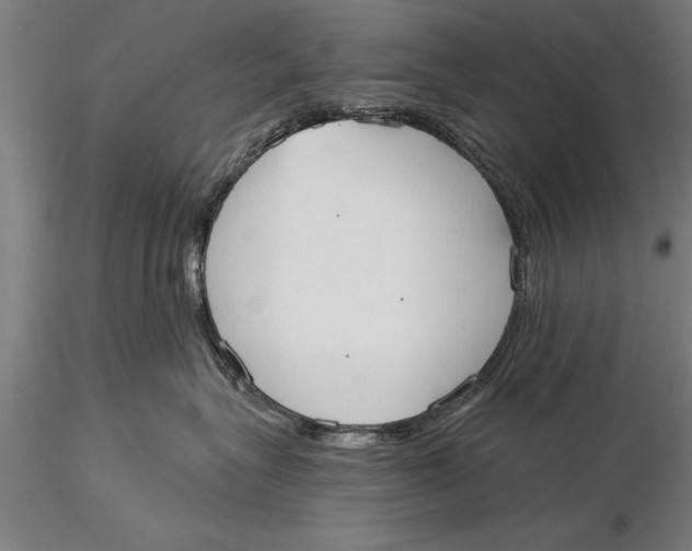 X0000116030575200912111419