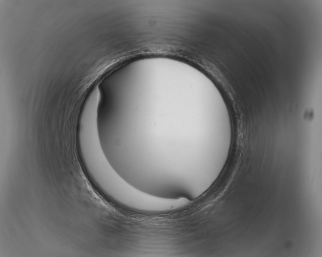 X0000116030577200912111418