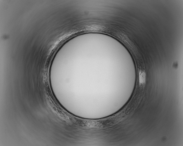 X0000116030579200912111418