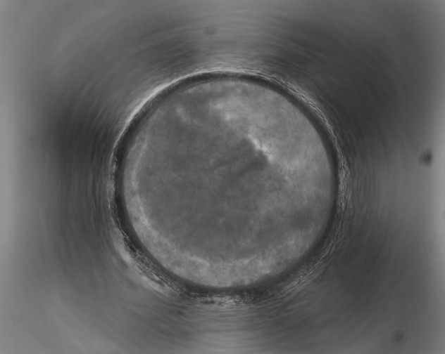 X0000116030580200912111418