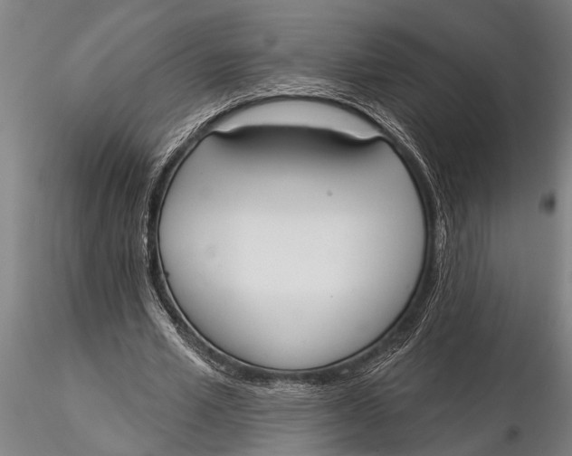 X0000116030581200912111418