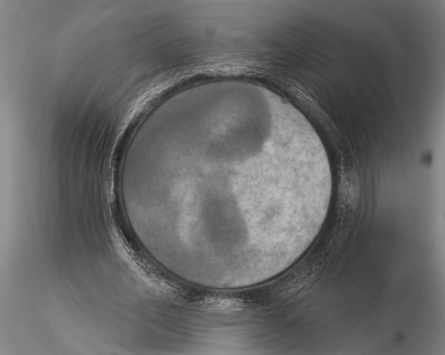 X0000116030582200912111418