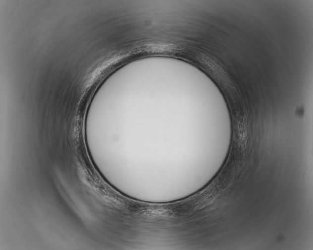 X0000116030583200912111418