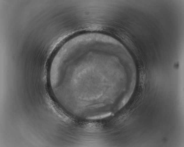 X0000116030584200912111418