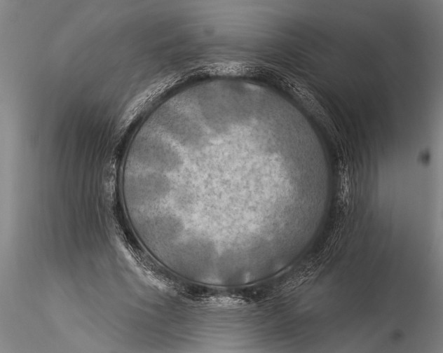 X0000116030586200912111418