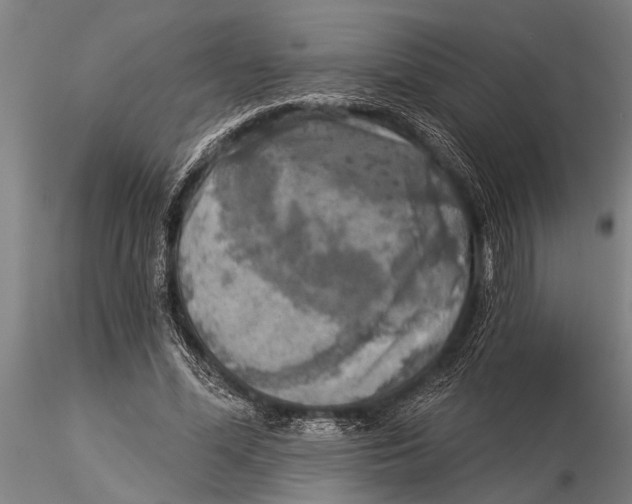 X0000116030588200912111418